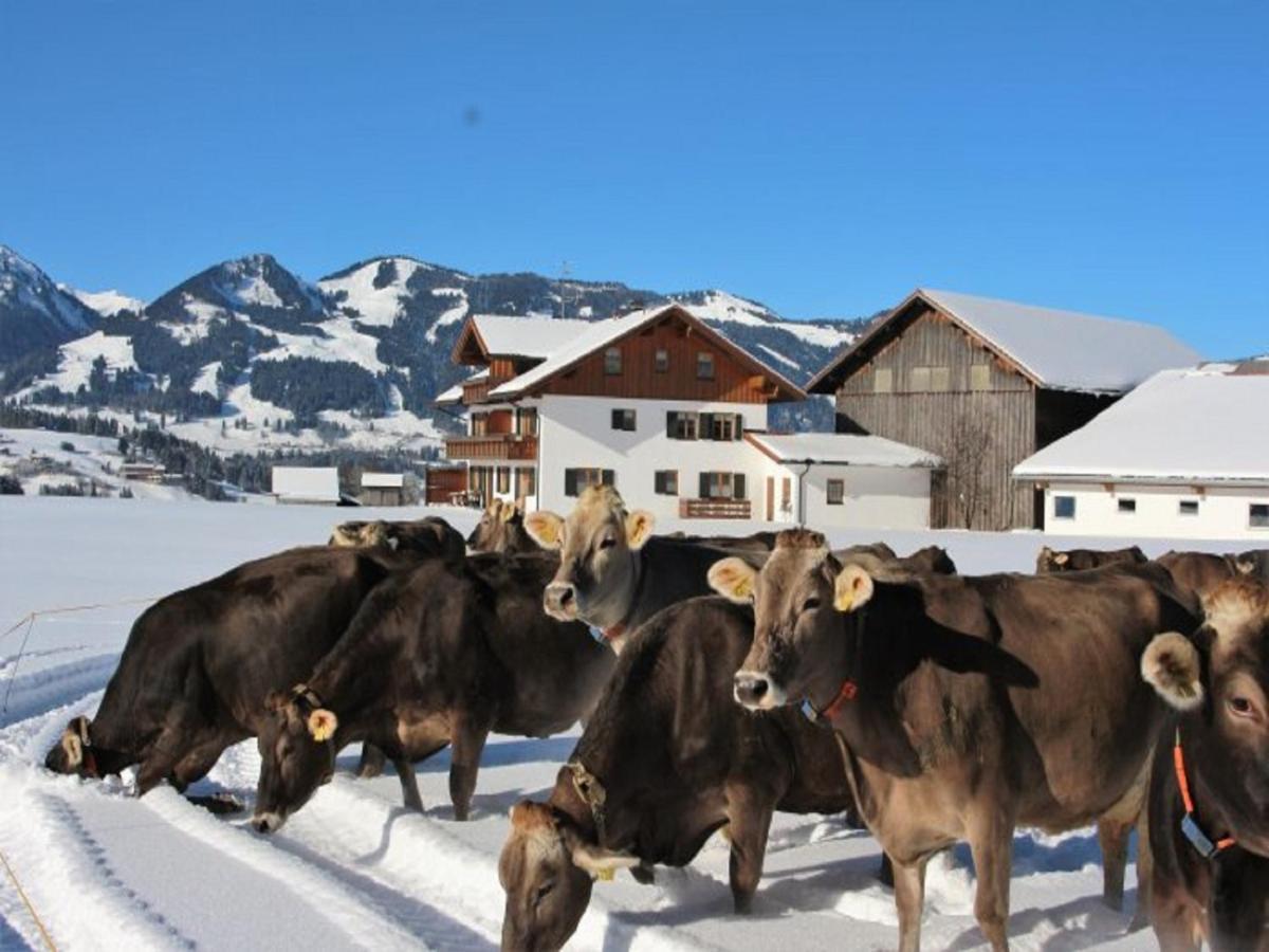 Hemerhof - Ferienwohnungen Oberstdorf Exteriör bild