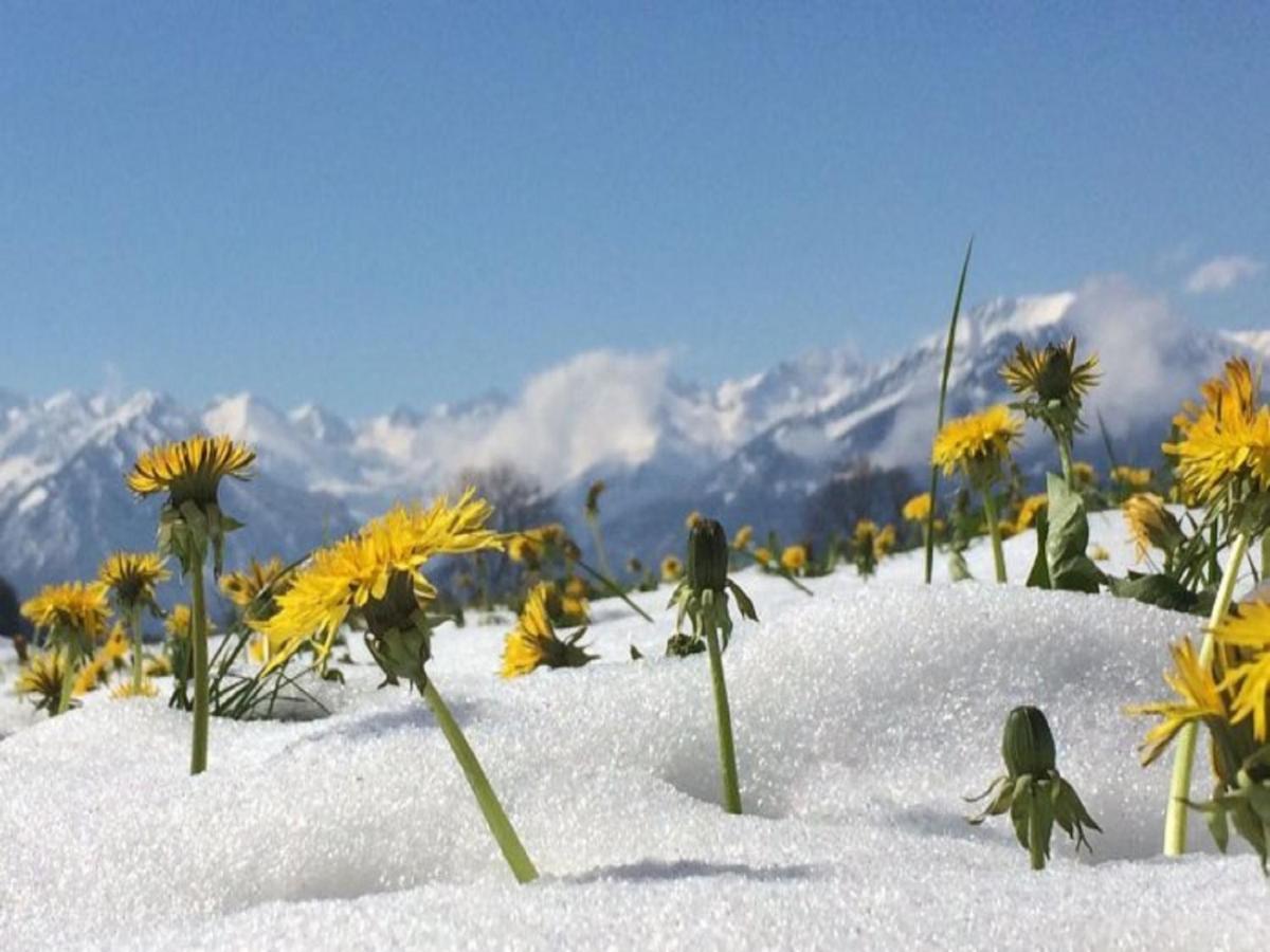 Hemerhof - Ferienwohnungen Oberstdorf Exteriör bild