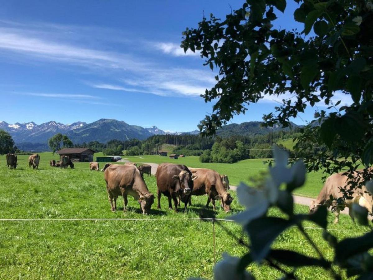 Hemerhof - Ferienwohnungen Oberstdorf Exteriör bild
