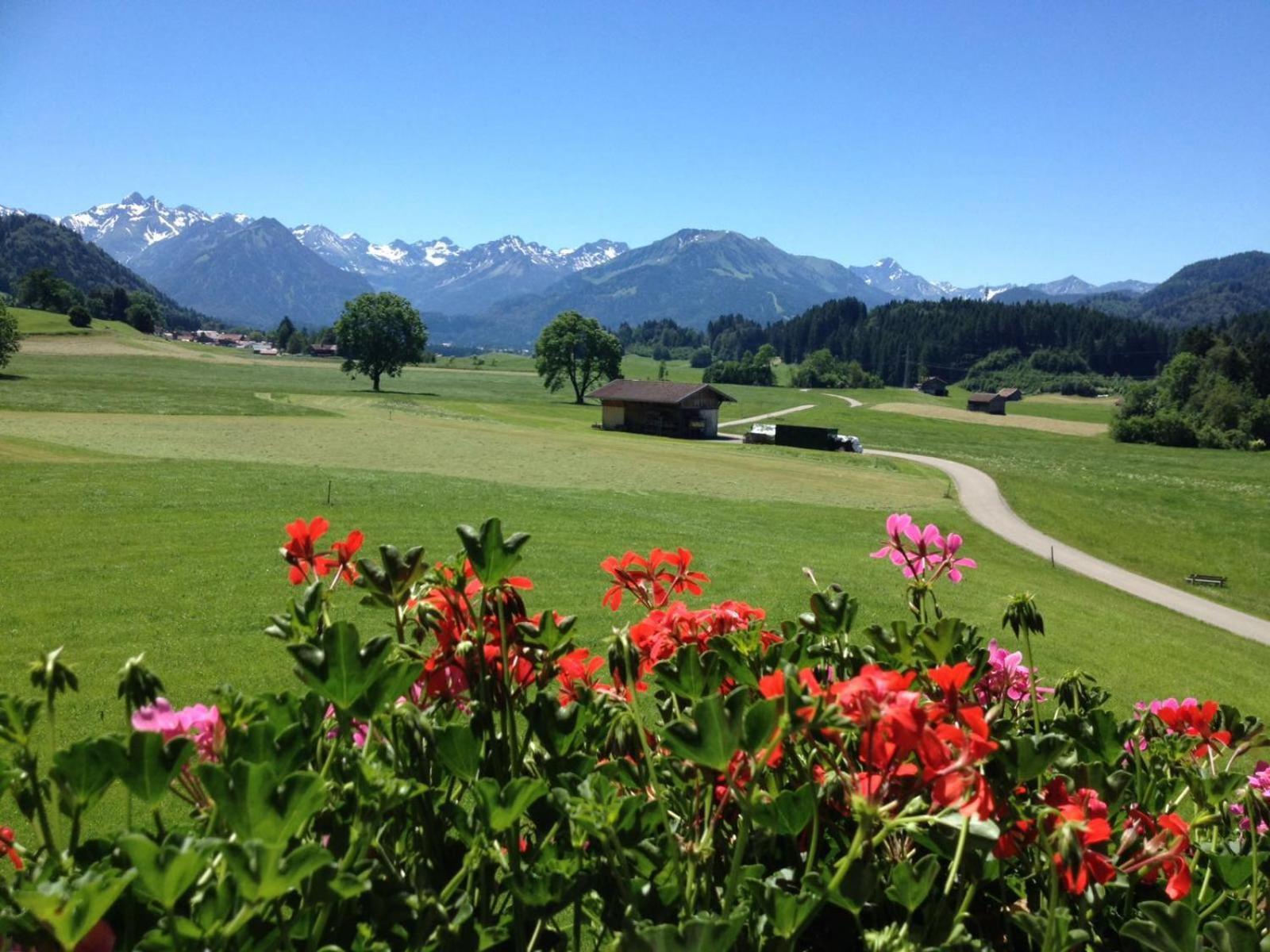Hemerhof - Ferienwohnungen Oberstdorf Exteriör bild