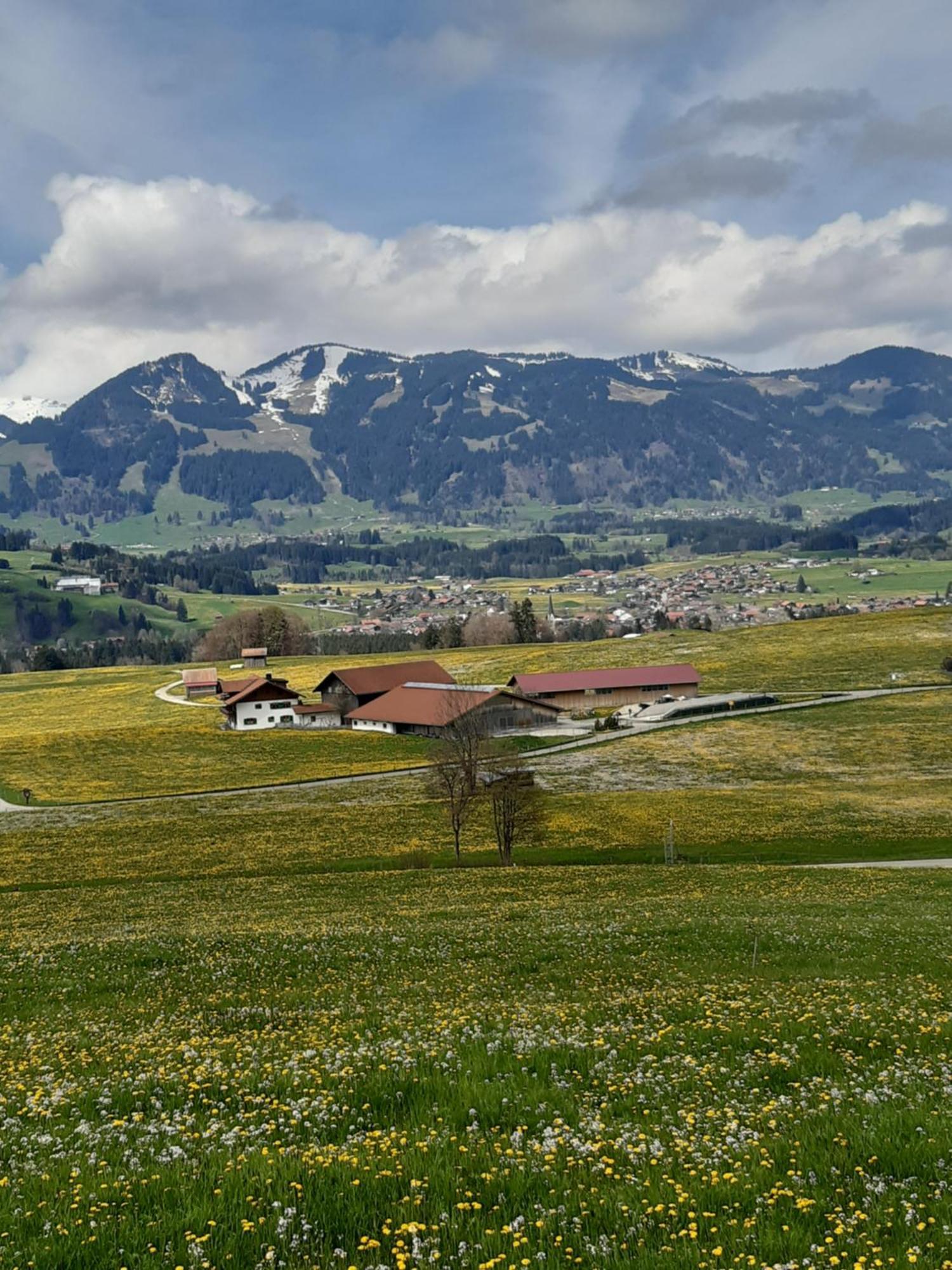 Hemerhof - Ferienwohnungen Oberstdorf Exteriör bild